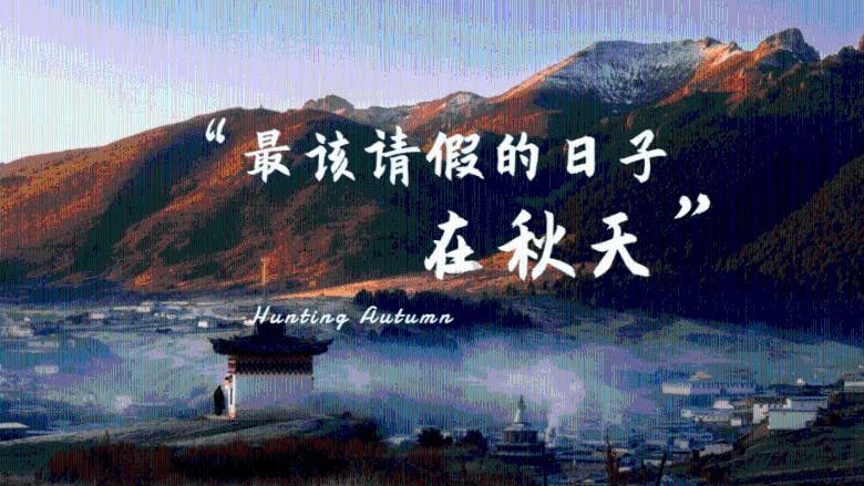 虫虫助手下载