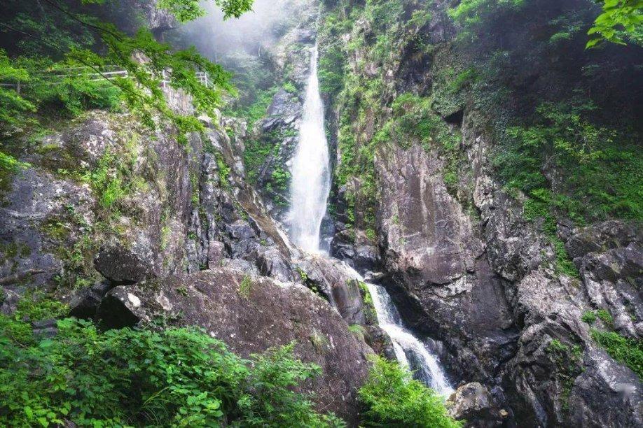 疯狂球球极限求生