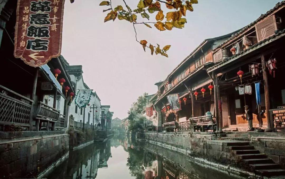 救援可爱的狮子
