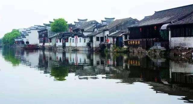 小猫钓鱼正版下载中文版