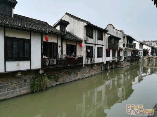 繁花:梅萍永远不知,一直瞧不起她的金科长,为何拒绝包庇汪小姐