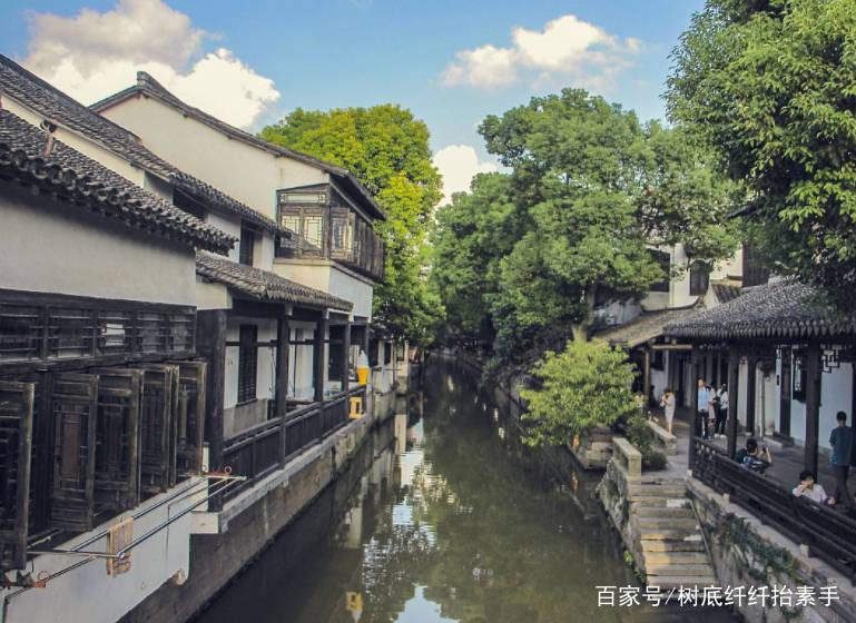 泡沫森林